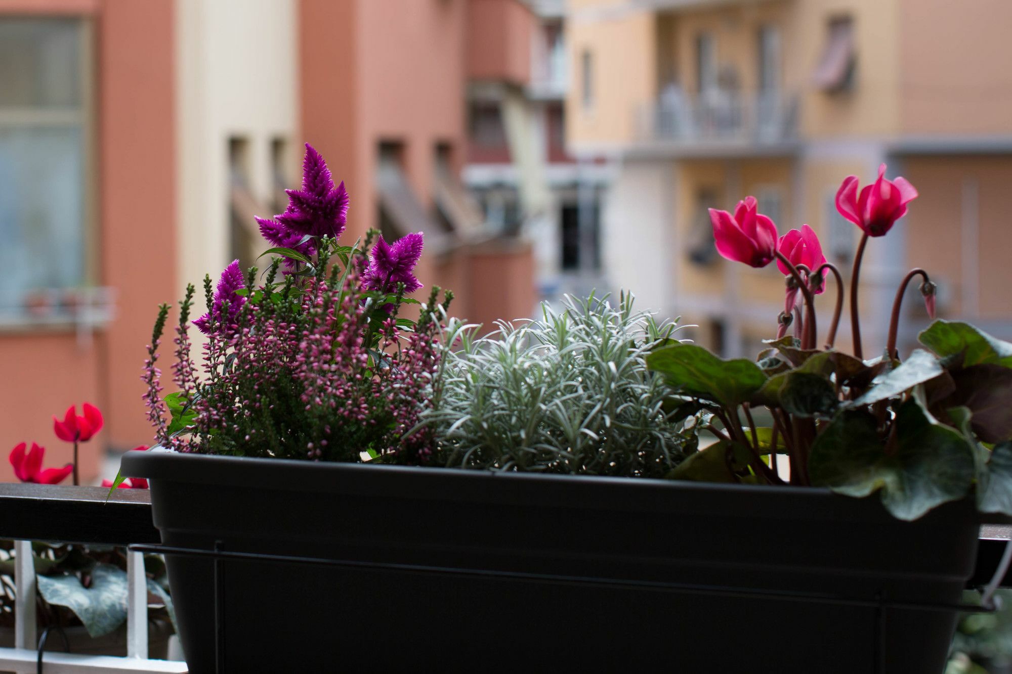 Rome By Suite Vatican Esterno foto